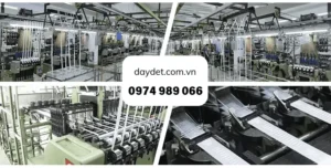 Dây dệt Tritexco Nhà máy chuyên sản xuất các loại dây dệt theo yêu cầu