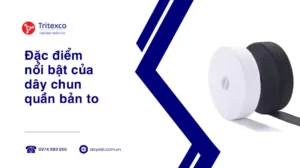 Đặc điểm nổi bật của dây chun quần bản to