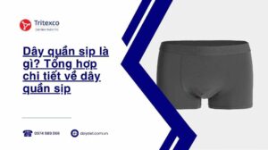 Dây quần sịp là gì Tổng hợp chi tiết về dây quần sịp