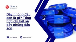 Dây nhúng đầu sơn là gì Tổng hợp chi tiết về dây nhúng đầu sơn