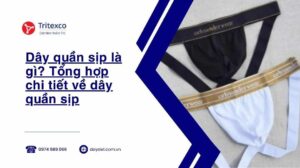 Dây quần sịp là gì Tổng hợp chi tiết về dây quần sịp